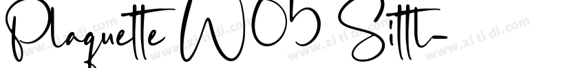 Plaquette W05 Sittl字体转换